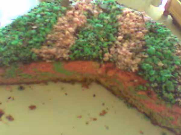 Gateau bicolore apres cuisson