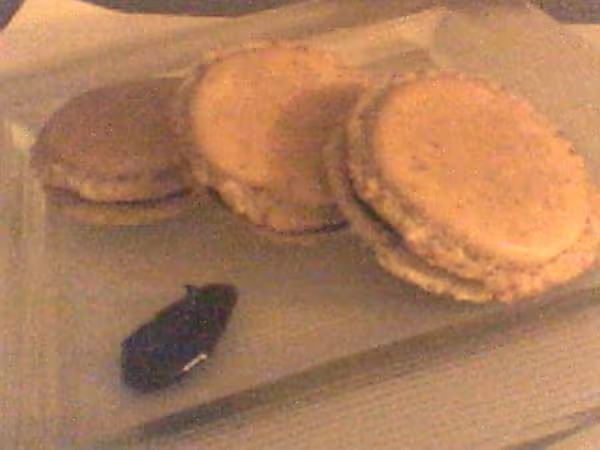Mes premiers macarons recette flore avec photo