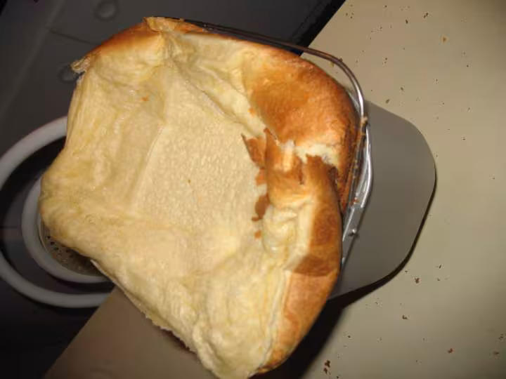 Brioche modulable d hco 2