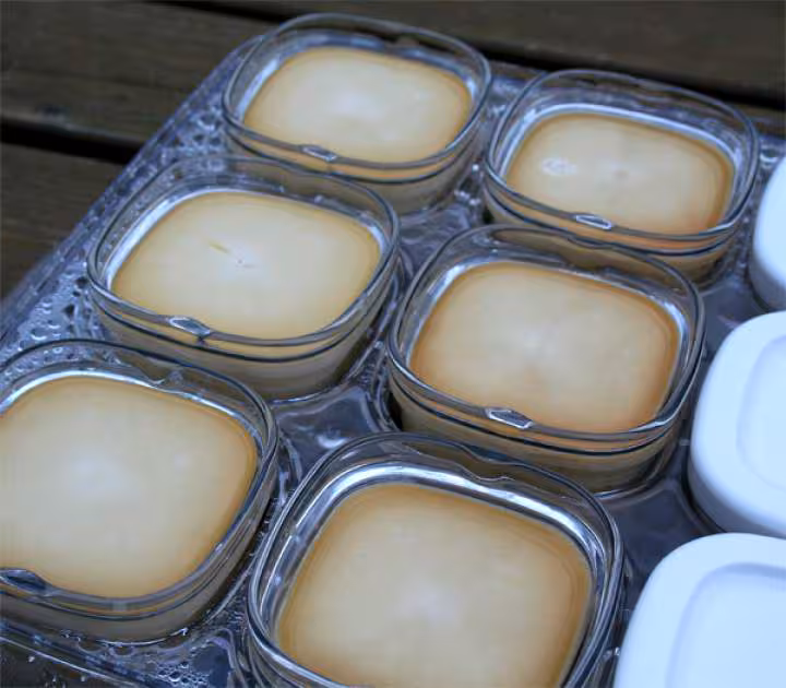 Cremes brulees2
