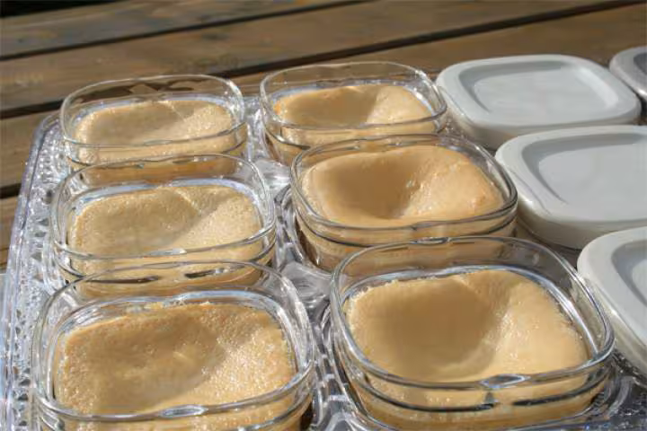 Oeufs au lait