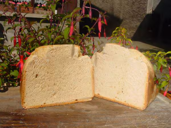 Pain de mie