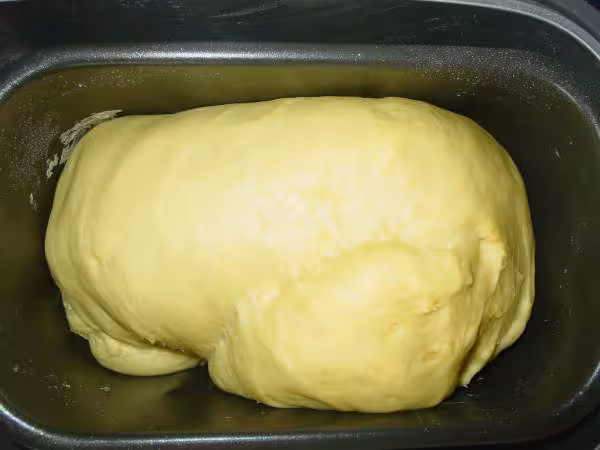 Pate pour saucisson brioche