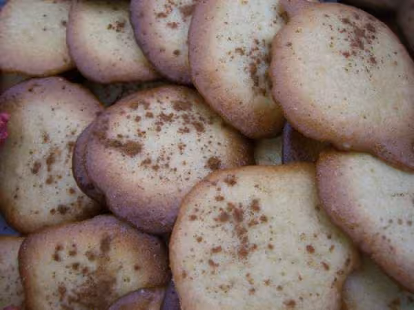 Tuile celeri