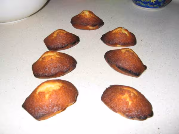 Madeleines reussies