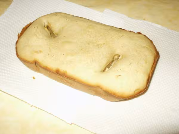 Premiere brioche photo1