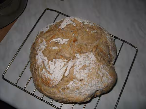 Cocotte2bis