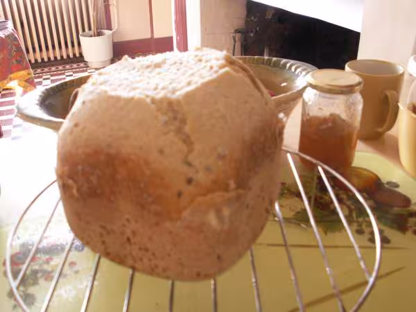 Pain avec levure congelee