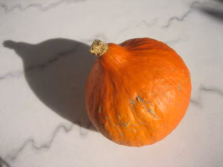 Potimaron