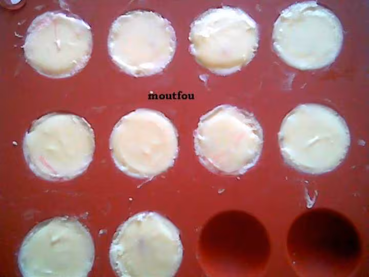 Coquille blanche refermee