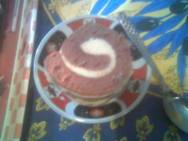 Part roule au chocolat