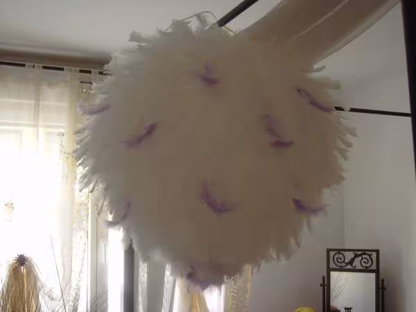 Boule plume faites vec boule chinoise