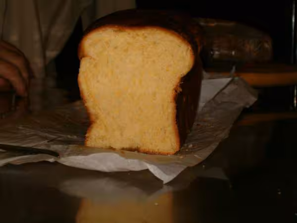 Brioche de flore1