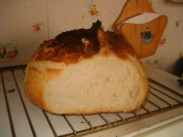 Miche facon capucine6