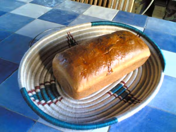 Brioche