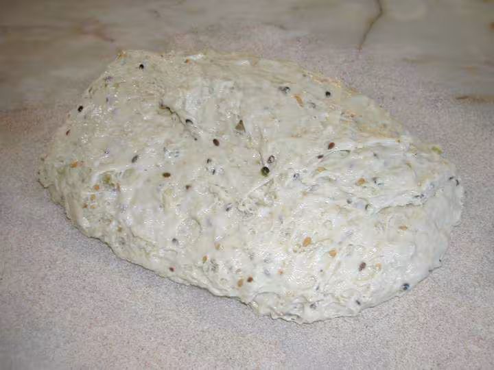 Pate a pains sans petrissage gauloise couges