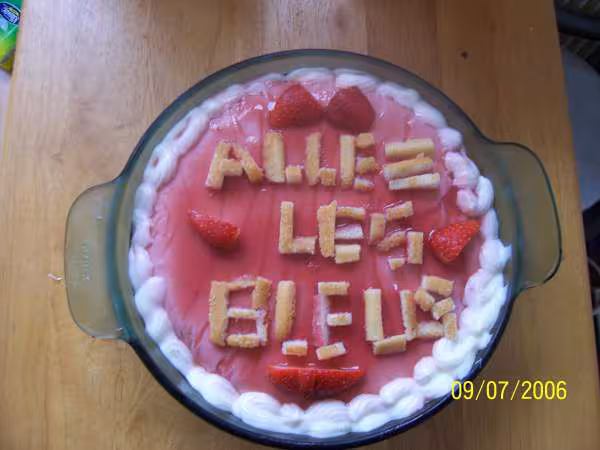 Bavarois coupe du monde