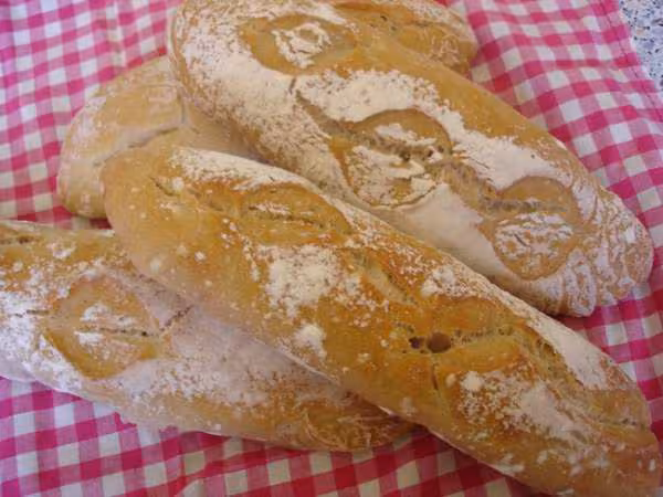 Premier pain au levain naturel