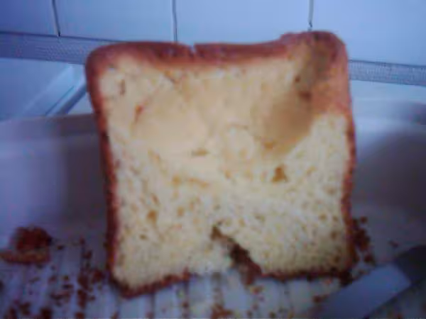 Brioche bouquin home bread