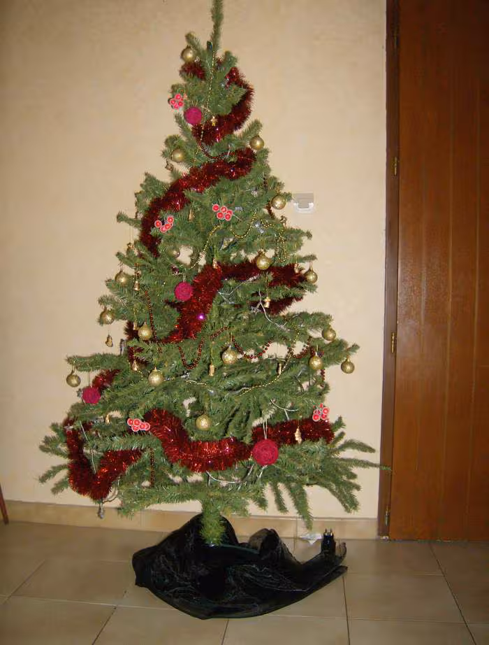 Sapin 2009