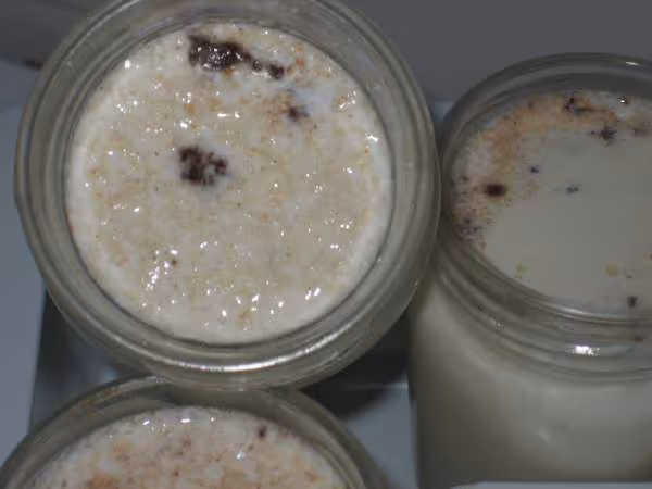 Yaourt menthe peites de chocolat