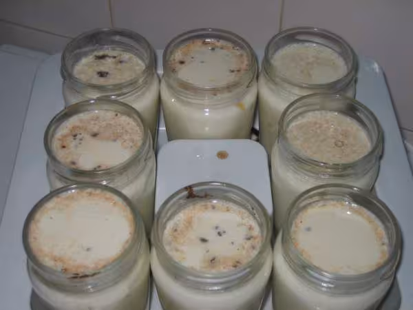 Yaourt menthe pepites de chocolat