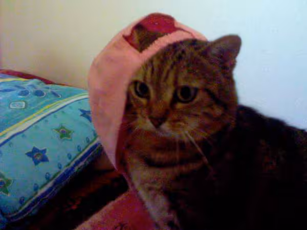 Titounette