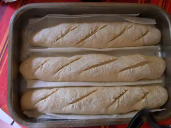 Baguettes poolish eolyse