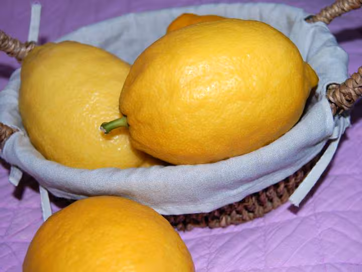 Citrons du papa de ghislaine