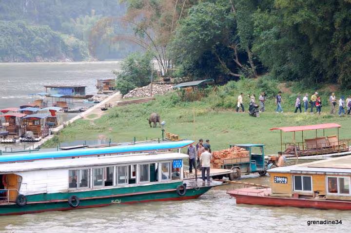 Croisiere sur la riviere li reputee pour la peche aux cormorans