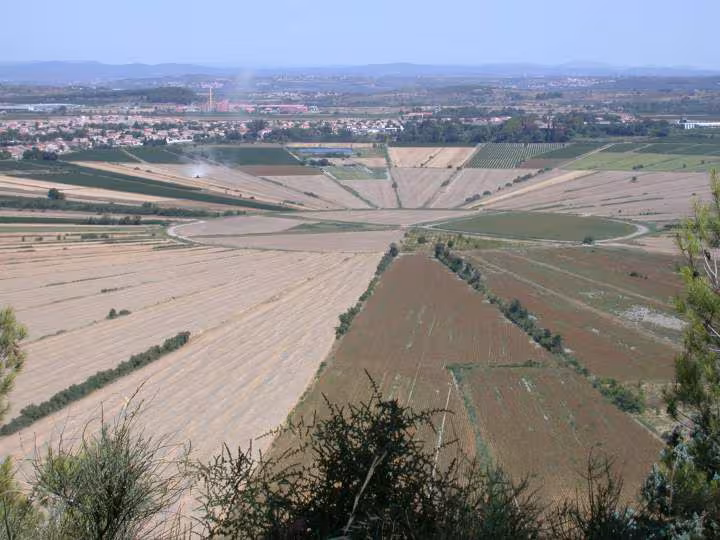 Depuis l oppidum d enserunes