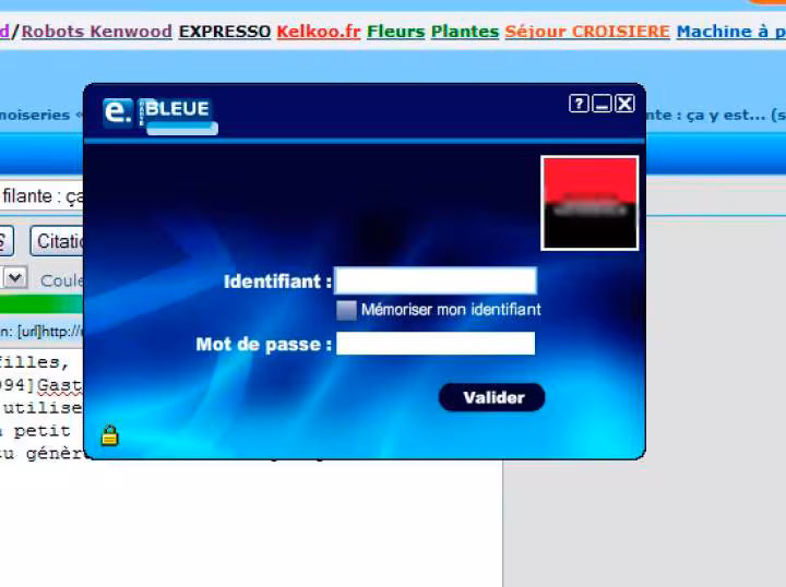 E carte bleue
