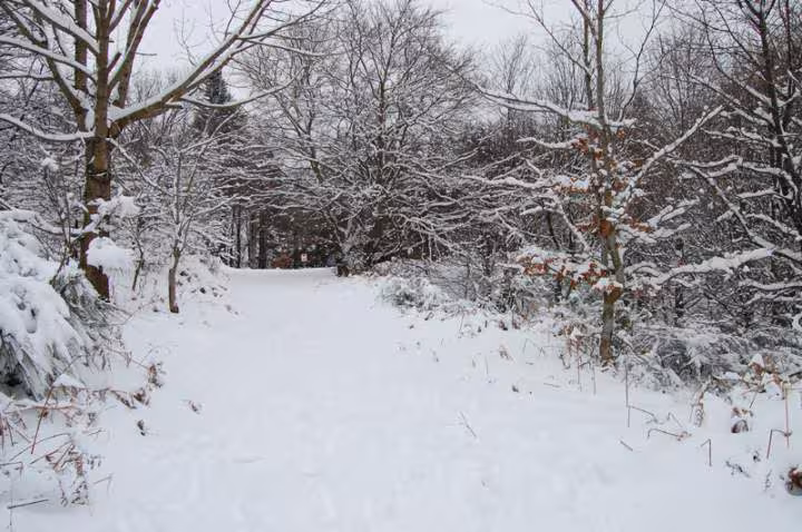 Espinouse sous la neige