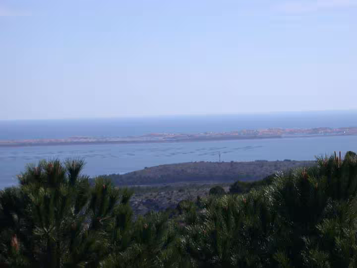 Fitou