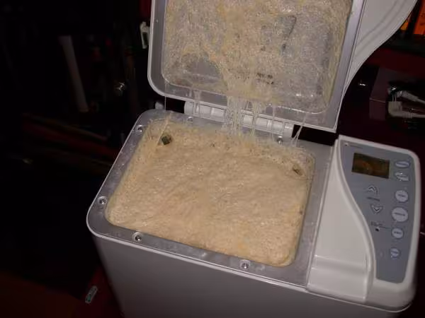 La brioche qui voulait vivre sa vie