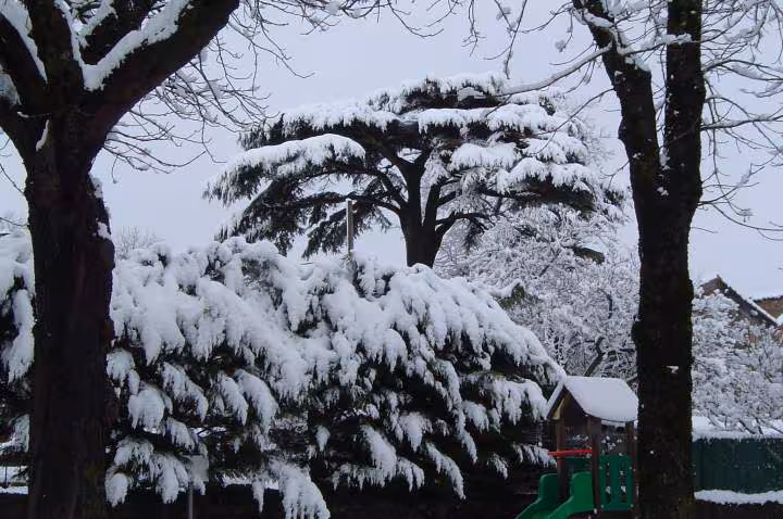 Le caylar sous la neige herault