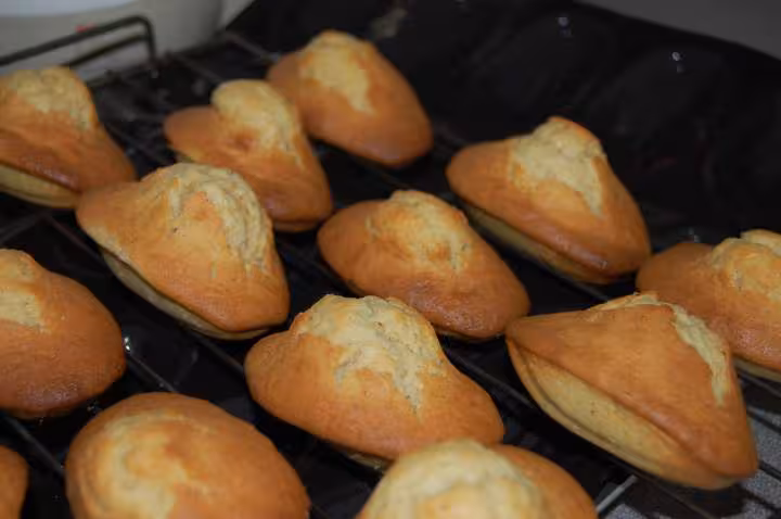Madeleines a bosse