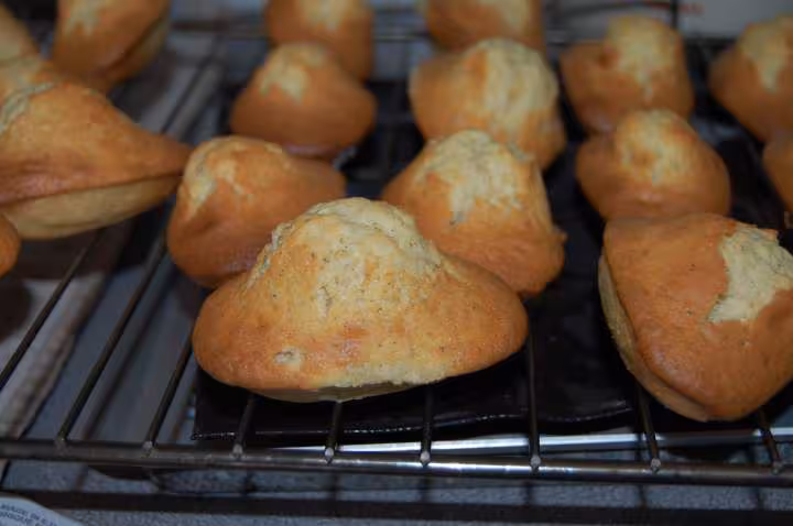 Madeleines a bosse