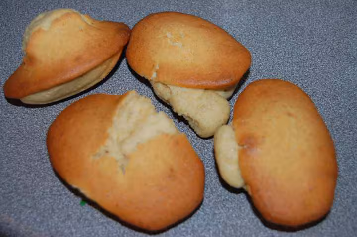 Madeleines sans bosse
