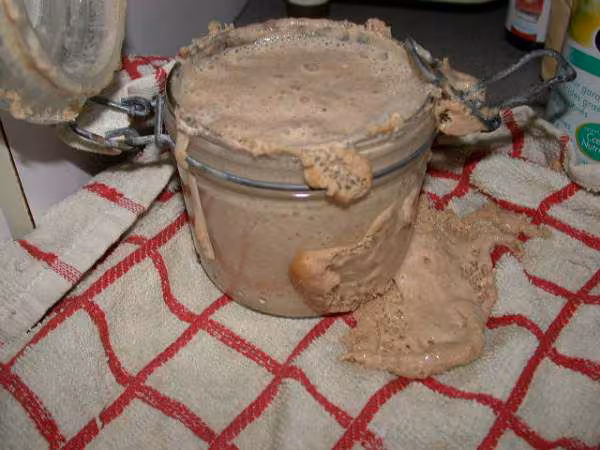 Mon levain