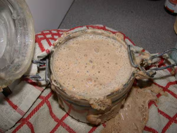 Mon levain