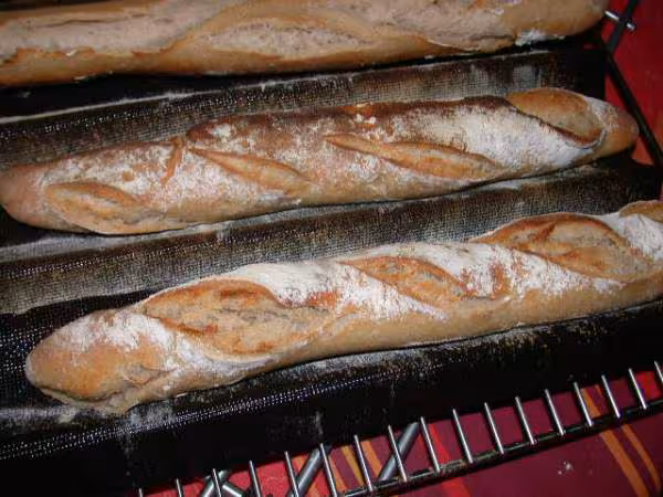 Mon premier pain au levain naturel