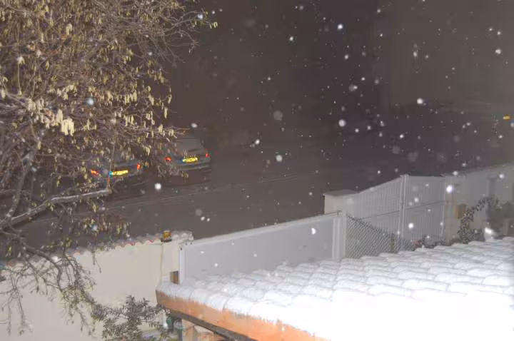 Neige