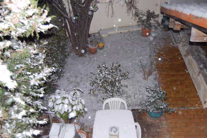 Neige