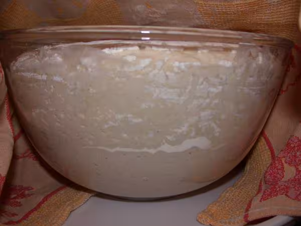 Pain sans petrissage
