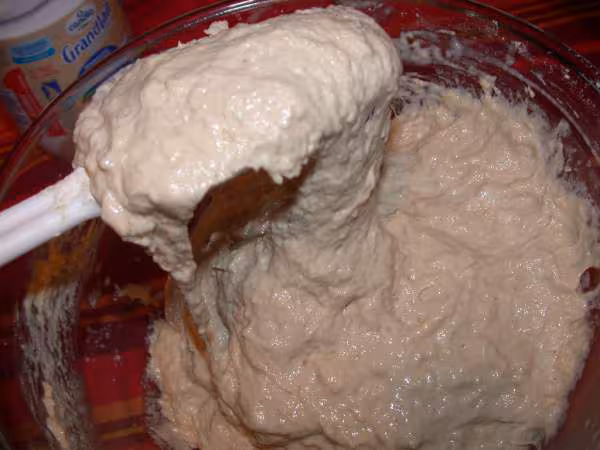 Pain sans petrissage