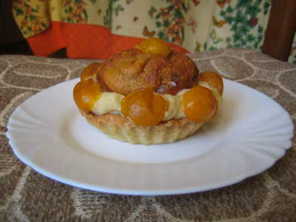Tarte aux mirabelles facon clafoutis