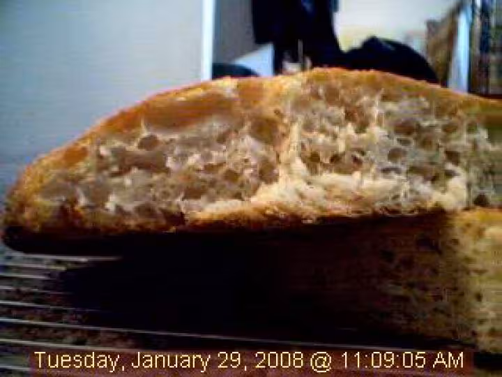 Pain de jim lahey l interieur