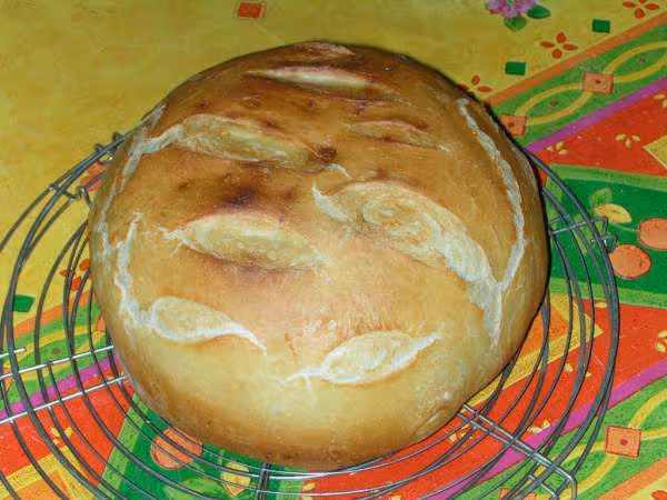 Pain cocotte