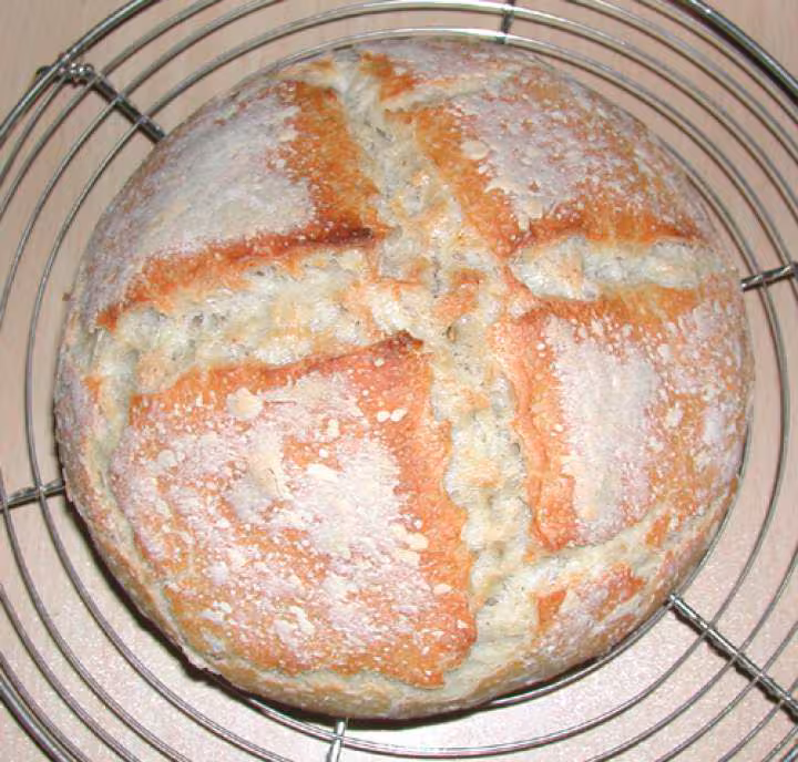 1er pain au levain